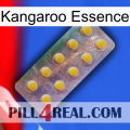 Kangaroo Essence new11